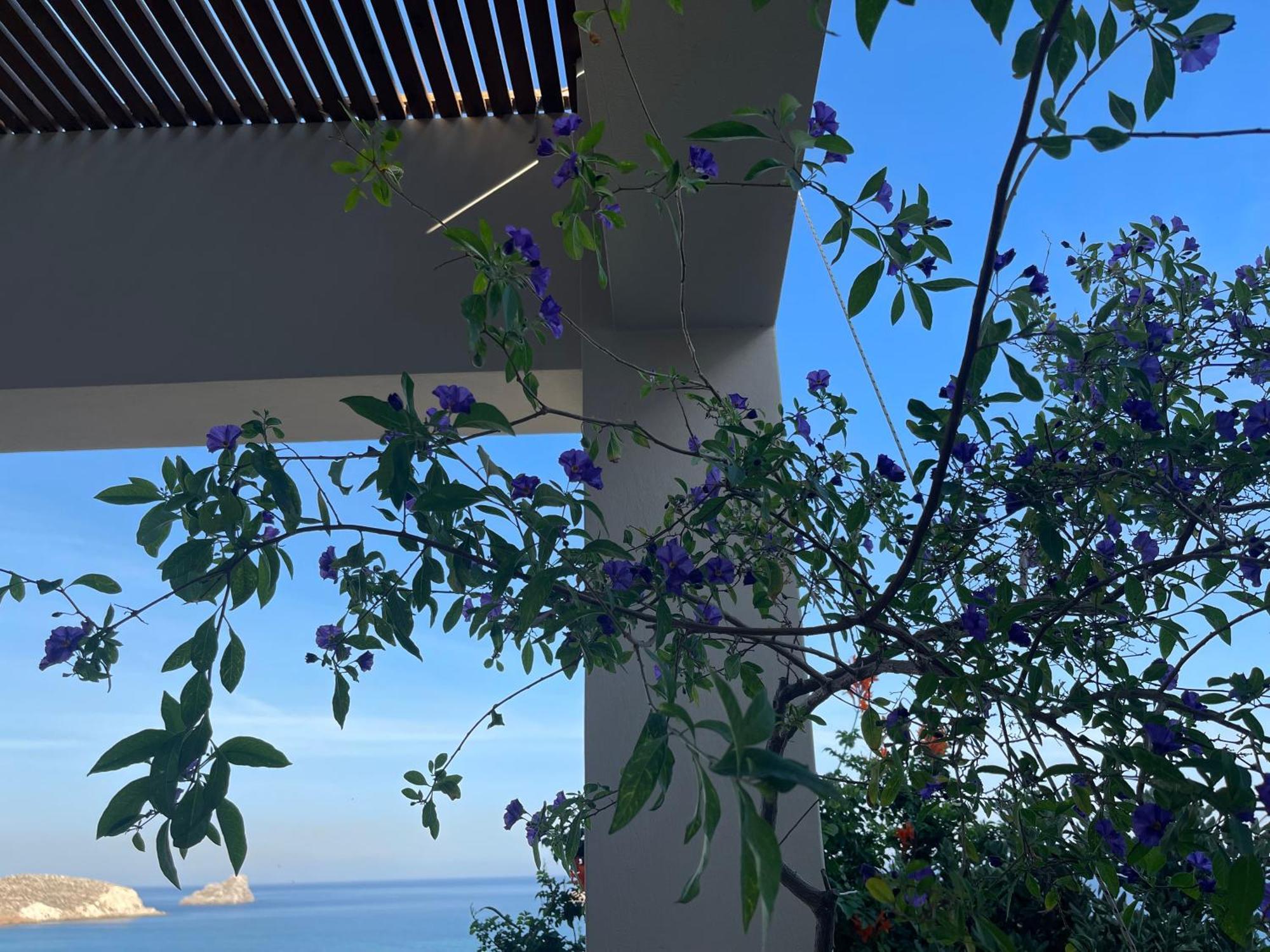 Natica Mare Villas Xerokampos  Exterior foto